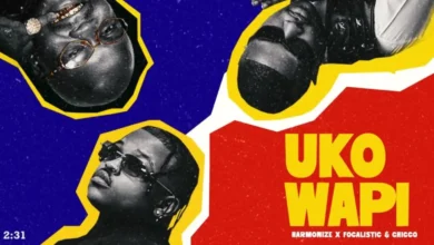 Harmonize X Focalistic & Chicco – Uko Wapi