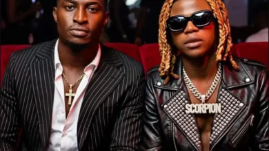 Scorpion – Napiga Bao 